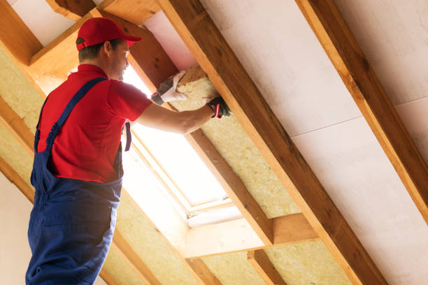 Types of Insulation We Offer in Richwood, OH